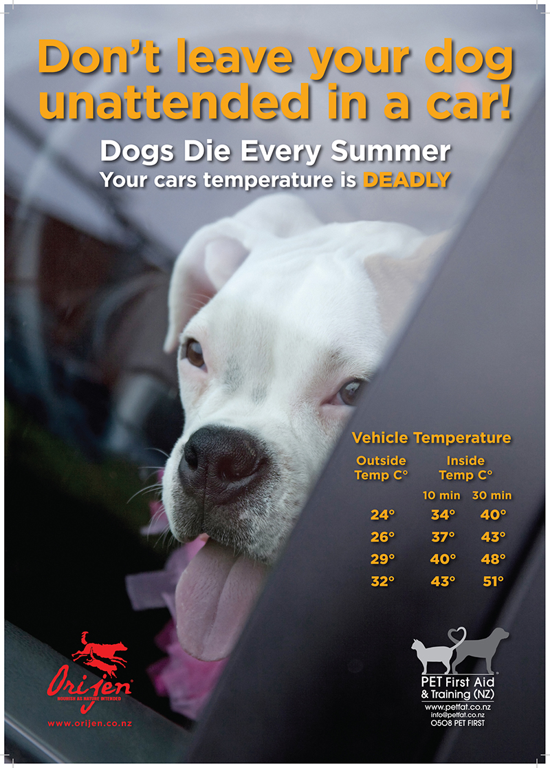 can you leave your dog in the car in nj